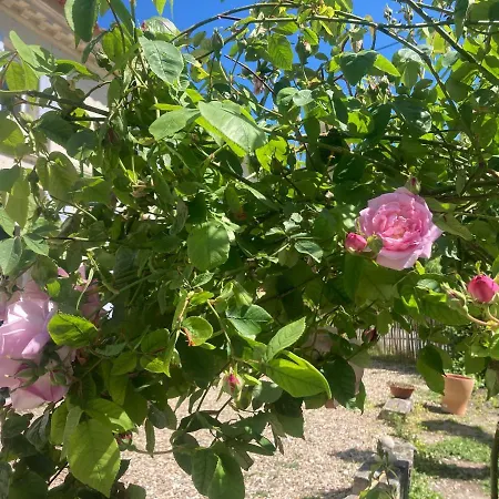 Les Ganivelles Saint-Dizant-du-Gua