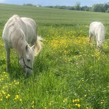 Ubytování v soukromí Les Ganivelles