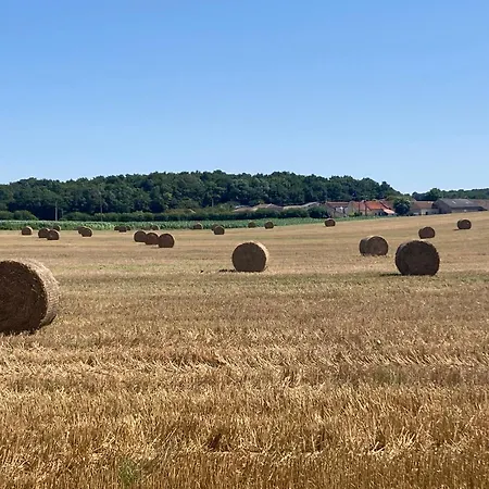 Les Ganivelles 民宿 Saint-Dizant-du-Gua