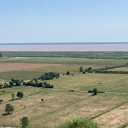 Les Ganivelles Saint-Dizant-du-Gua