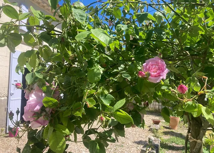 Les Ganivelles Saint-Dizant-du-Gua