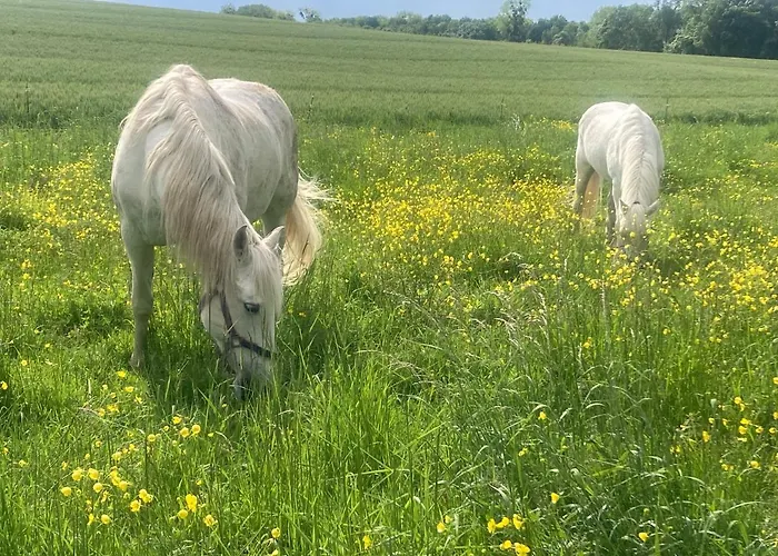Kwatera prywatna Les Ganivelles