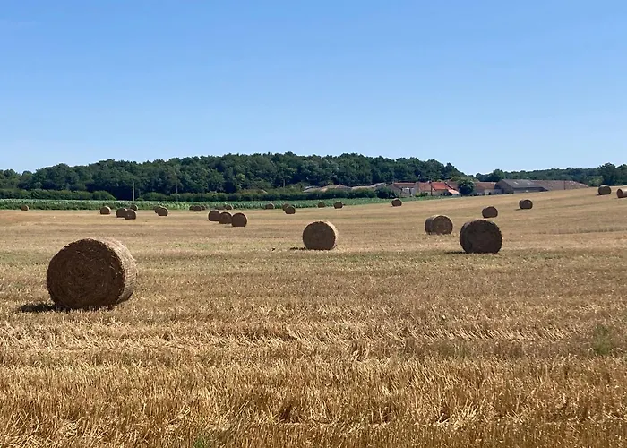 Les Ganivelles Kwatera prywatna Saint-Dizant-du-Gua